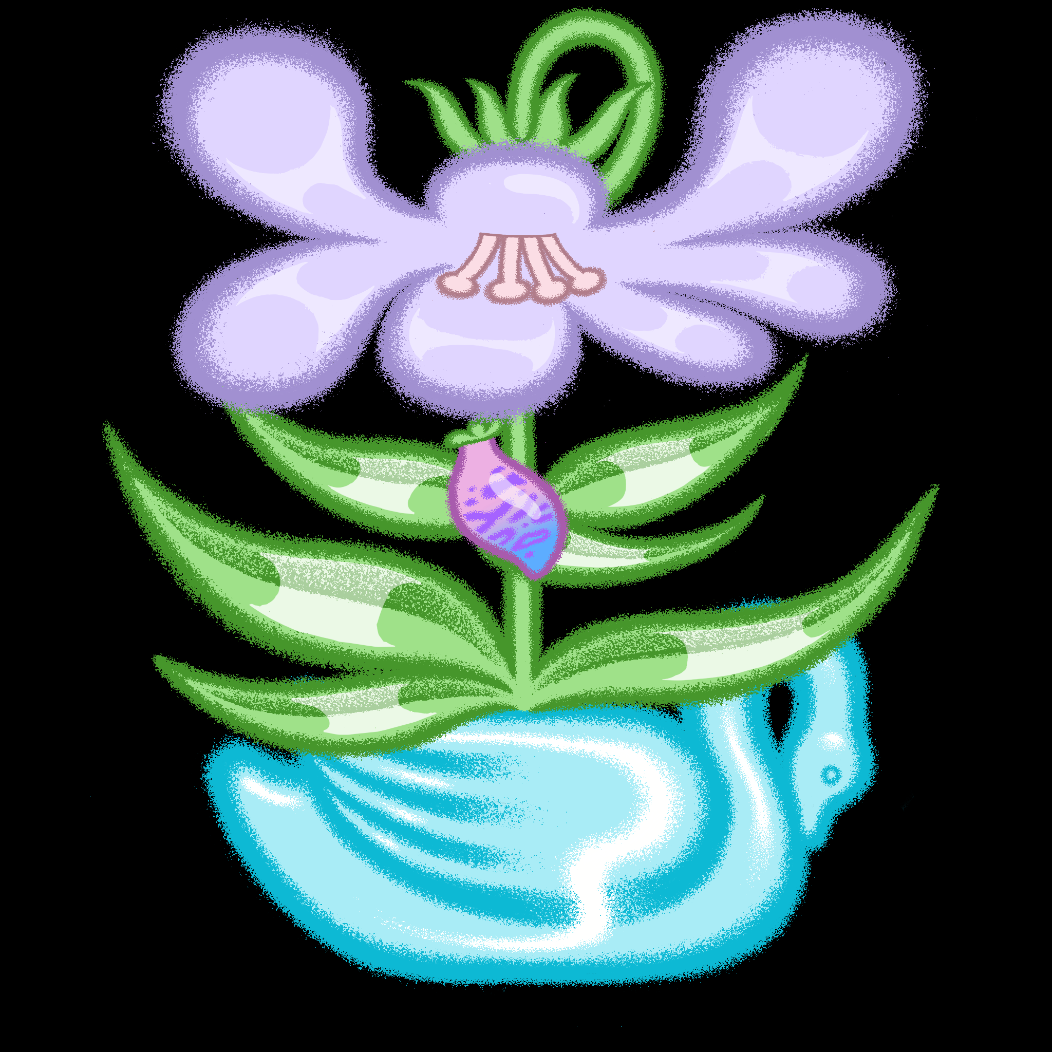 Bloomer #497